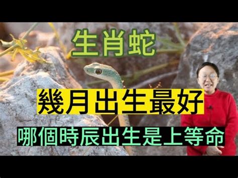 屬蛇幾月生好|屬蛇最旺月份大預測